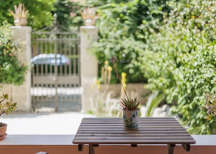 Aloe * Corfu (city)