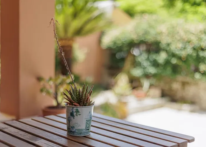Apartamento Aloe *
