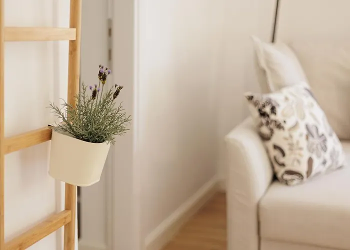 Apartamento Aloe