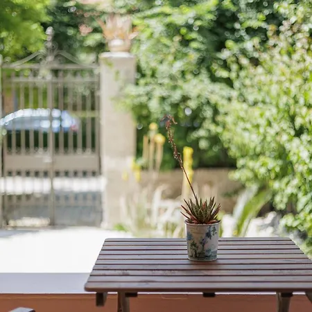 Aloe * Corfu (city)