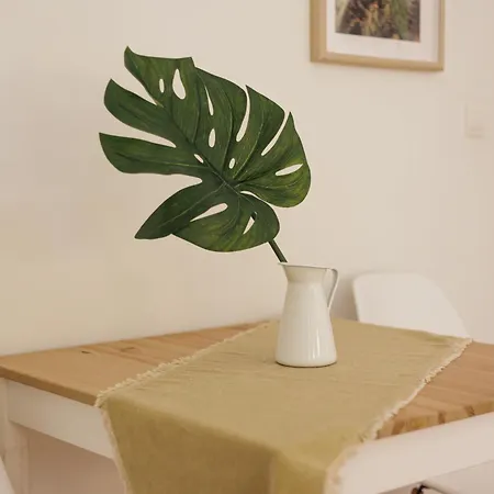 Aloe Διαμέρισμα