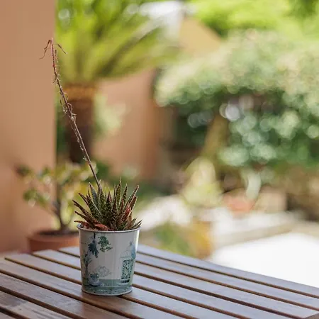 Appartement Aloe *