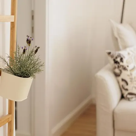 Appartement Aloe
